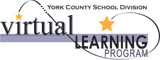 Virtual Learning Program