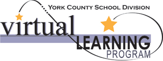 Virtual Learning Program